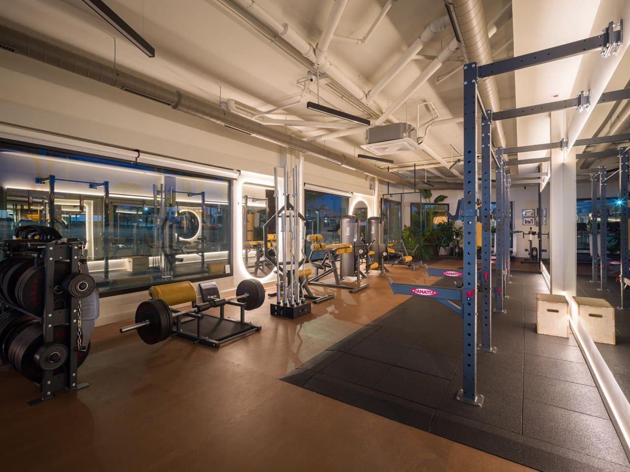 La Fuerza Nutrition — Instalaciones 15