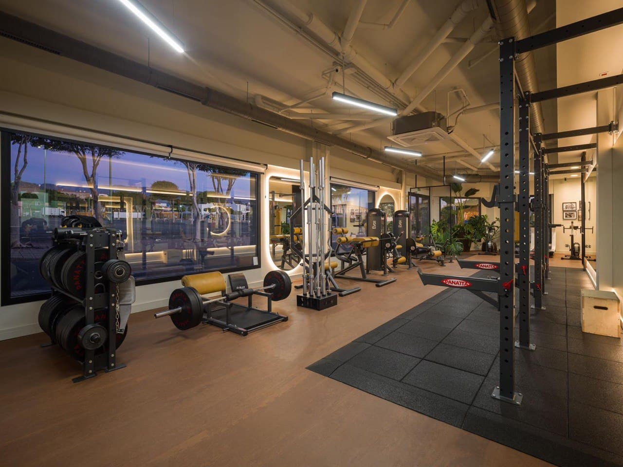 La Fuerza Nutrition — Instalaciones 3